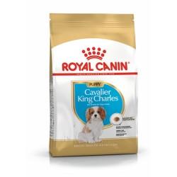 Pienso Royal Canin Cavalier King Charles Spaniel Puppy 1,5 Kg