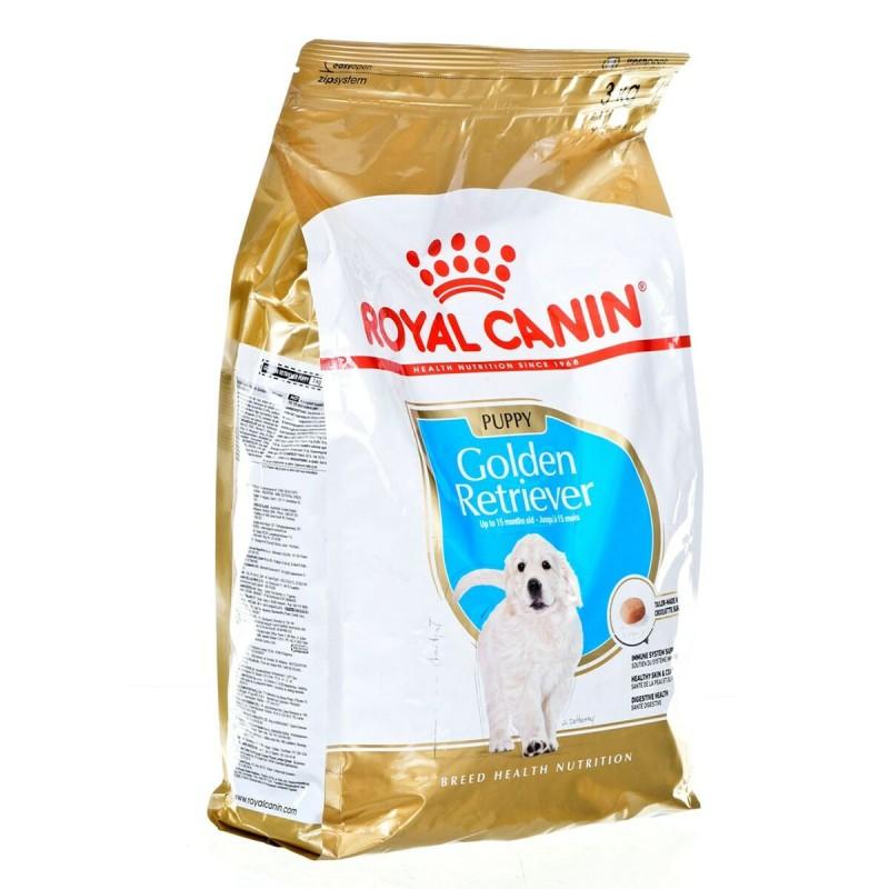 Pienso Royal Canin Golden Retriever Puppy Cachorro/Junior Arroz Aves 3 Kg