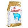 Pienso Royal Canin Golden Retriever Puppy Cachorro/Junior Arroz Aves 3 Kg