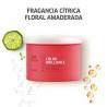 Mascarilla Capilar Wella Invigo Color Brilliance 500 ml