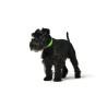 Collar para Perro Hunter Convenience 23-31 cm Verde XS/S