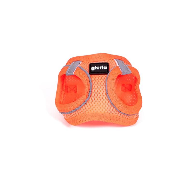 Arnés para Perro Gloria Trek Star 24-26 cm 28-28,6 cm Naranja XXS