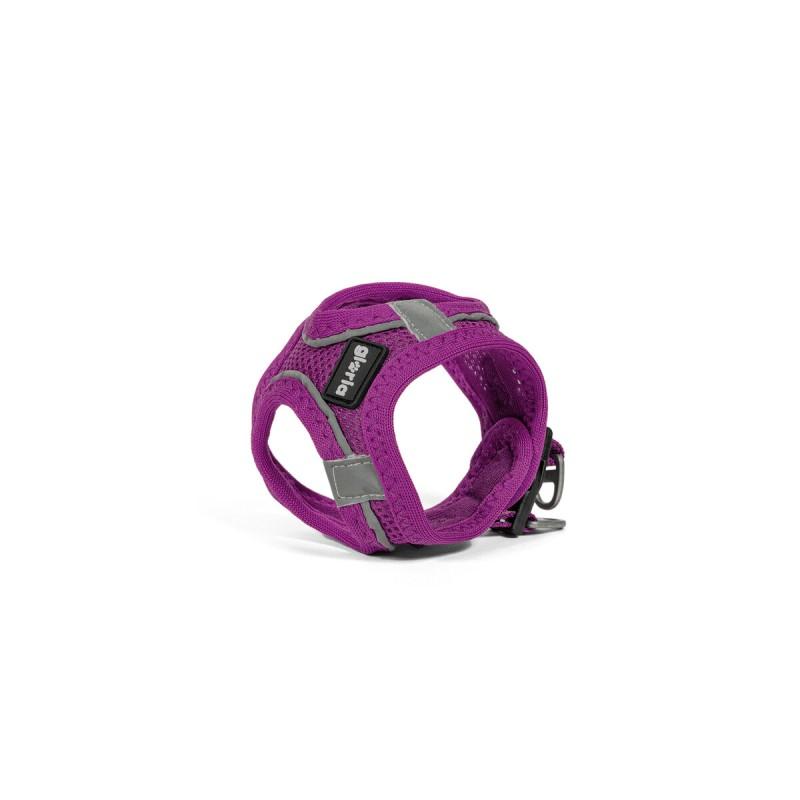 Arnés para Perro Gloria Trek Star 24-26 cm 28-28,6 cm Morado XXS