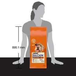 Pienso Purina Dog Chow Mature Senior Senior Cordero 14 Kg