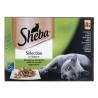 Comida para gato Sheba Selection Pollo Salmón Pescado Ternera 100 g