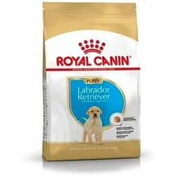 Pienso Royal Canin Cachorro/Junior 3 Kg