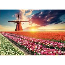 Puzzle Educa Fields of Tulips 18465 1500 Piezas