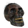 Calavera Voo Doo S1123400 19 x 22 cm (1 Pieza)