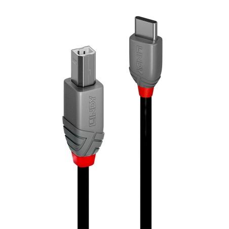 Cable USB C a USB B LINDY 36942 Negro 2 m