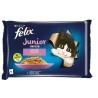 Comida para gato Purina Fantastic Pollo Salmón 340 g