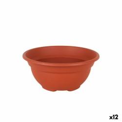 Maceta Dem Greentime Redonda Bol Marrón ø 20 x 9 cm (12 Unidades)