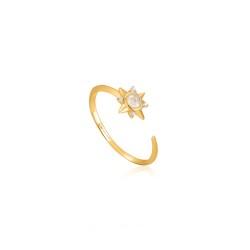 Anillo Mujer Ania Haie R026-03G (13)