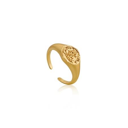 Anillo Mujer Ania Haie R009-03G (13)