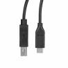 Cable USB Startech USB2CB3M             Negro