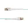 Cable USB Startech 450FBLCLC10PP Agua 10 m