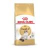 Comida para gato Royal Canin Ragdoll Adult Adulto 2 Kg