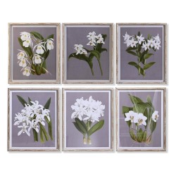 Cuadro DKD Home Decor Abeto Cristal 50 x 60 x 2,8 cm 50 x 2,8 x 60 cm Flores (6 Piezas)