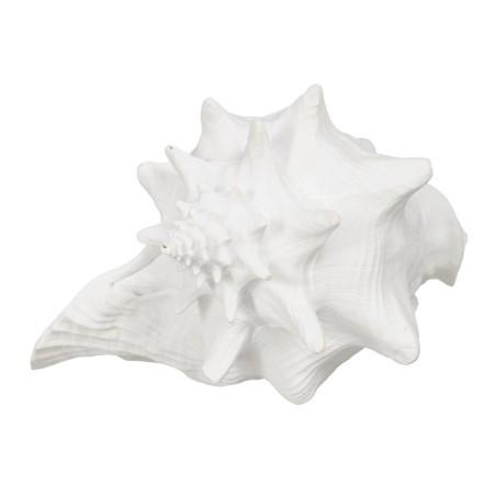 Figura Decorativa Blanco Caracola 21 x 19 x 13 cm