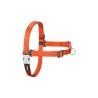 Arnés para Perro Red Dingo 70-98 cm Naranja L