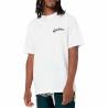 Camiseta de Manga Corta Hombre Dickies Grainfield Blanco