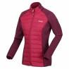 Chaqueta Deportiva para Mujer Regatta Clumber Hybrid IV Rojo