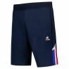 Pantalones Cortos Deportivos para Hombre Le coq sportif Tri Regular N°1 Sky  Azul