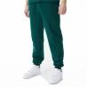 Pantalón para Adultos New Era League Essentials New York Verde oscuro Hombre