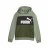 Sudadera Infantil Puma Ess Block Fl Verde