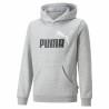 Sudadera Infantil Puma Ess+ 2 Col Big Logo Gris claro