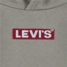 Sudadera Infantil Levi's Boxtab Marrón claro