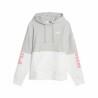 Sudadera con Capucha Mujer Puma Power Colorblock Blanco Gris