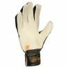 Guantes de Portero Reusch Attrakt Solid Gris oscuro Adultos