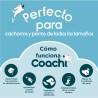 Portatodo Coachi Train & Treat Azul