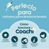 Correa de adiestramiento Coachi Azul 10m Entrenamiento