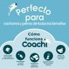 Juguete de adiestramiento Coachi Bells Azul