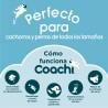 Correa para Perro Coachi Azul 2,5 m Entrenamiento