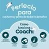 Juguete de adiestramiento Coachi