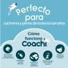 Portatodo Coachi Train & Treat Azul