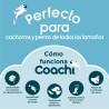 Juguete de adiestramiento Coachi TUGGI HIDE Azul