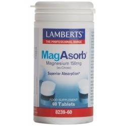 Complemento Alimenticio Lamberts MagAbsorb Magnesio 60 unidades