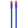 Cable de Red Rígido UTP Categoría 6 Ewent EW-6U-005 (0,5 m)