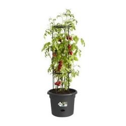 Maceta Elho Basics Tomato Negro (Ø 33 cm)