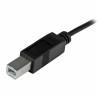 Adaptador USB Startech USB2CB1M             Negro