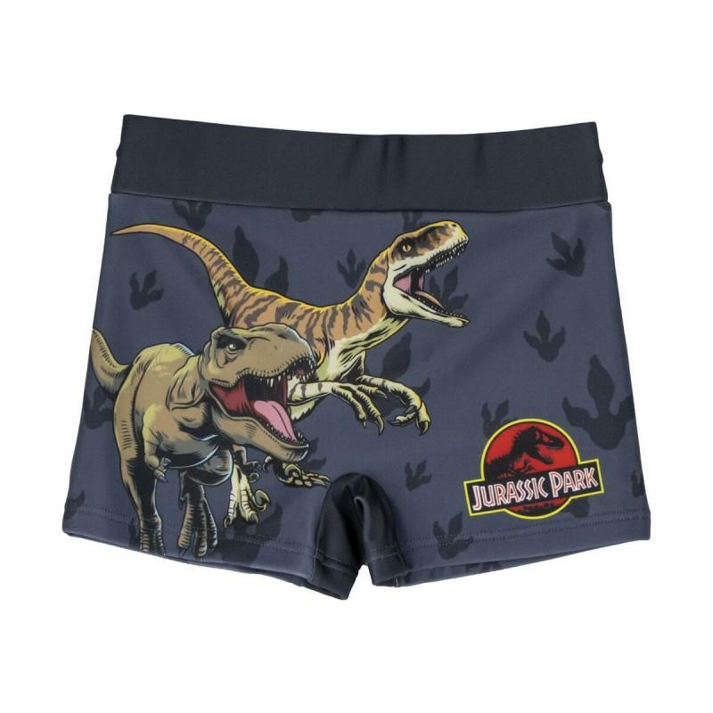 Bañador Boxer Para Niños Jurassic Park Gris oscuro