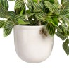 Planta Decorativa 33 x 33 x 24 cm Blanco Verde PVC