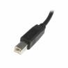 Cable USB A a USB B Startech USB2HAB5M            Negro