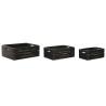 Cajas de almacenamiento Home ESPRIT Cox Apples 1830 Negro Madera de abeto 40 x 30 x 15 cm 3 Piezas