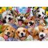Puzzle Educa Doggy selfie 1000 Piezas