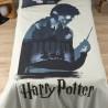 Funda Nórdica Harry Potter 155 x 220 cm Cama de 90