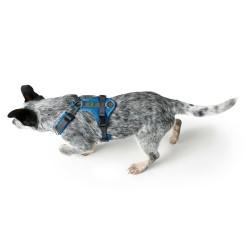 Arnés para Perro Hunter Maldon Up Azul 46-82 cm S/M